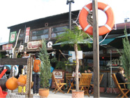 ピックアップ写真