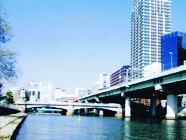 ピックアップ写真