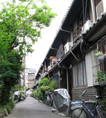 ピックアップ写真